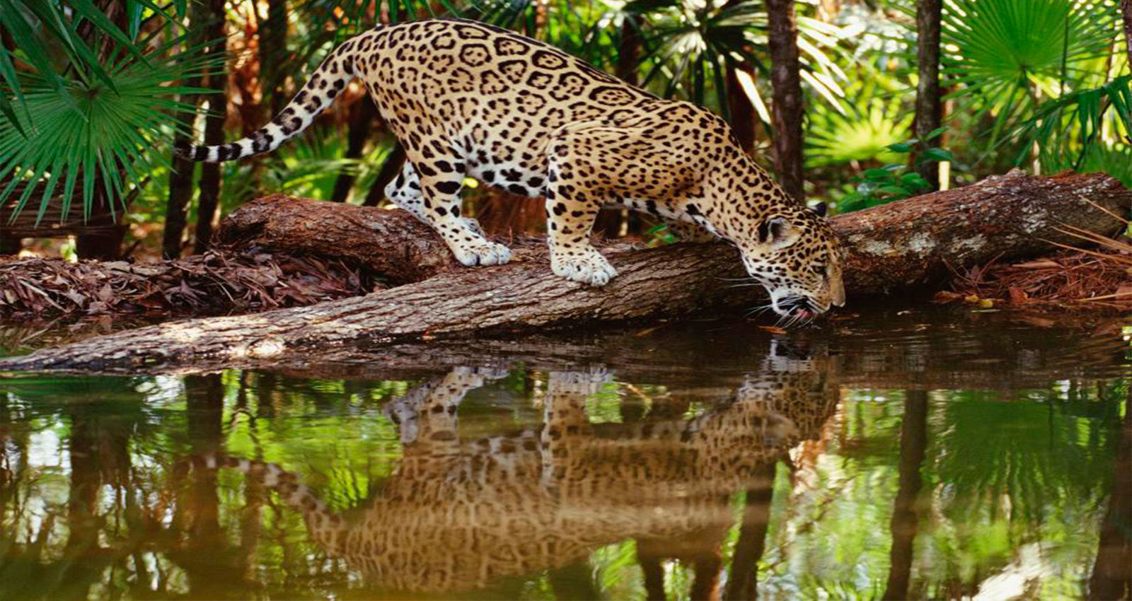 Peru romantic vacation, Machu Picchu Honeymoon