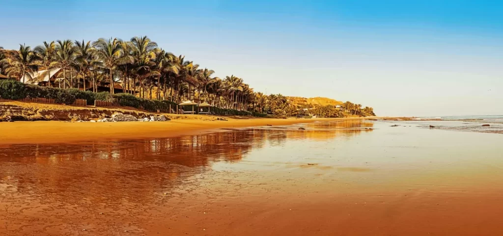 mancora beach palm trees peru honeymoon weather Palm trees along the shore of Máncora Beach, capturing the warm and tropical side of Peru honeymoon weather.