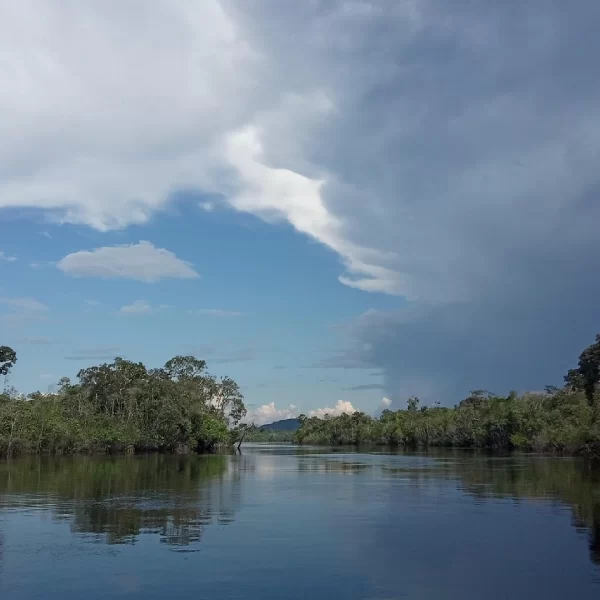 Scenic river landscape in the Peruvian Amazon during a Luxury Peru Amazon honeymoon