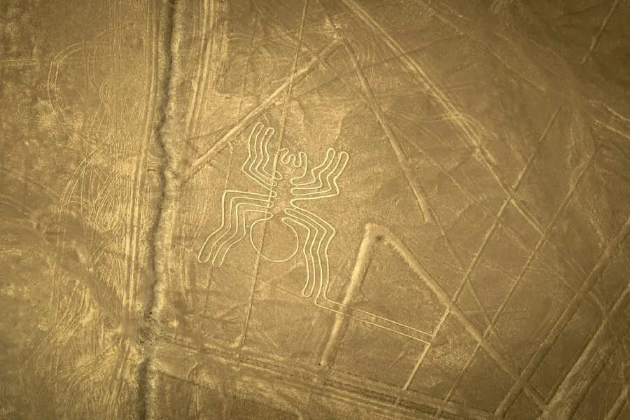 Spider geoglyph seen on a Nazca Lines honeymoon experience flight